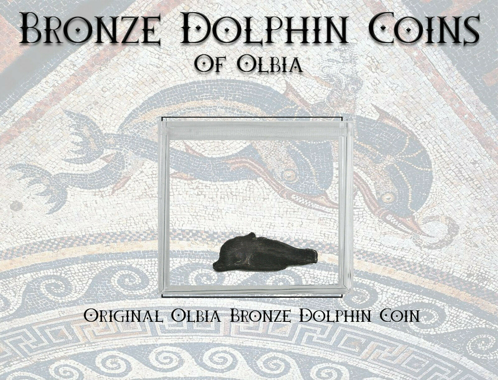 Olbia, Thrace Ancient Dolphin Money Coin With Informational Card 1 Pc Great Gift